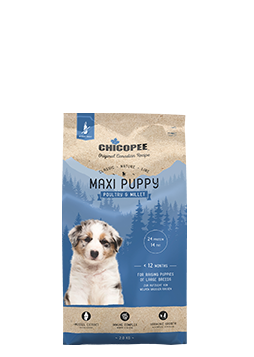 Dogfood Maxi Puppy